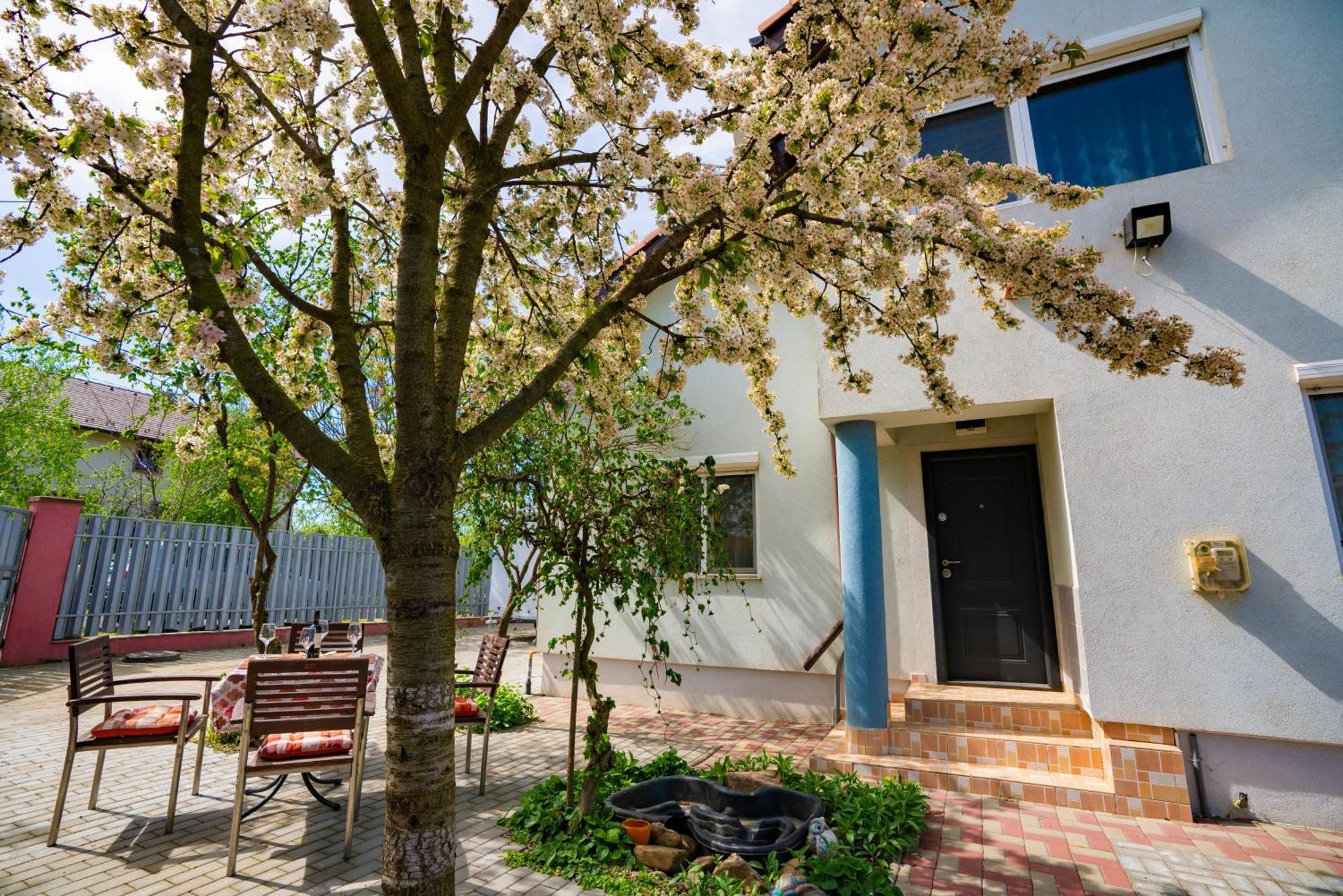 Dumbravita  Pitstop Apartments מראה חיצוני תמונה