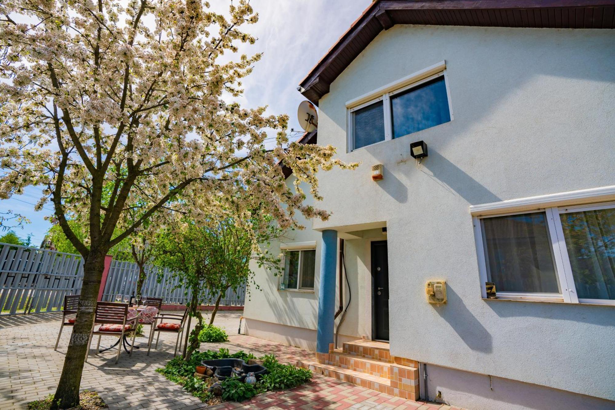 Dumbravita  Pitstop Apartments מראה חיצוני תמונה